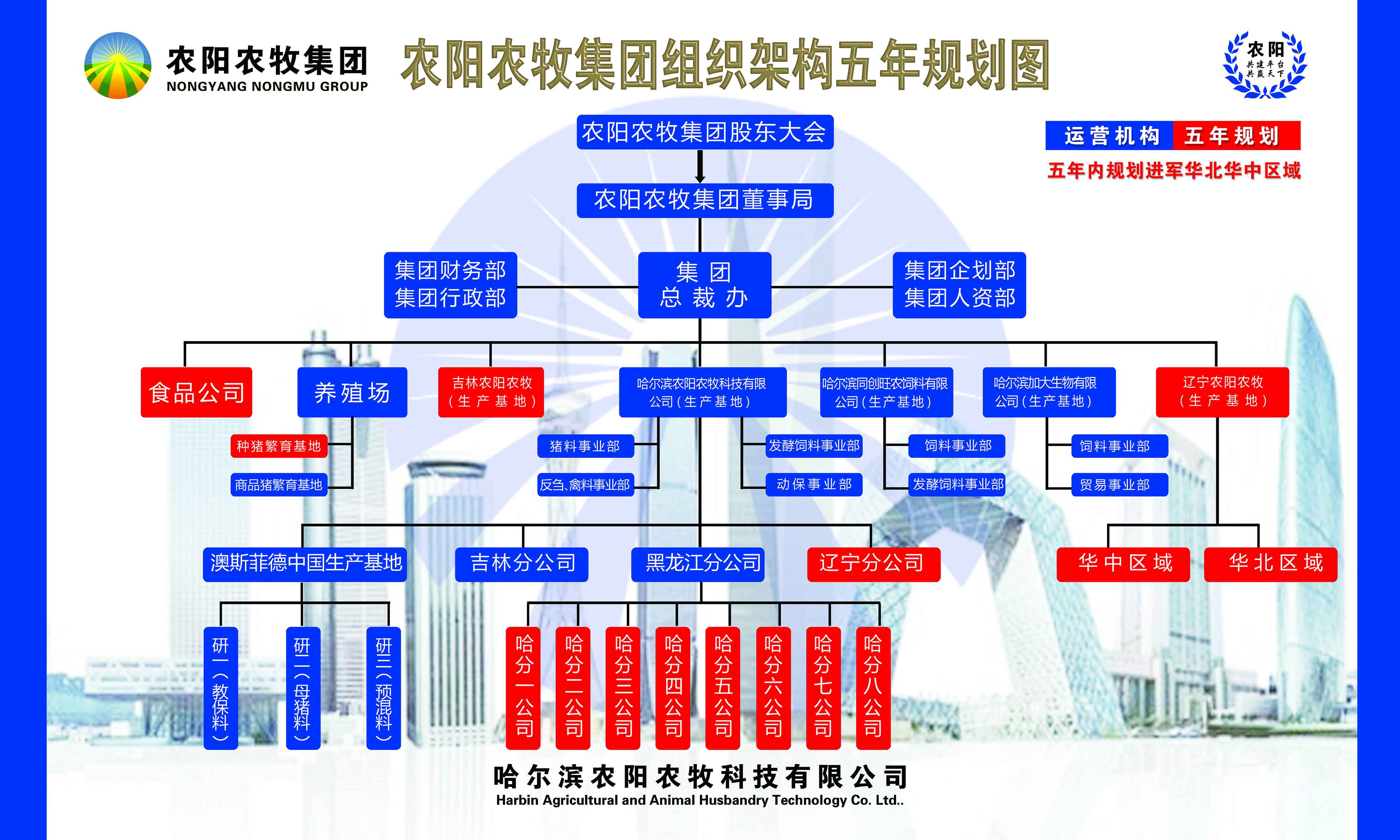 組織架構.jpg